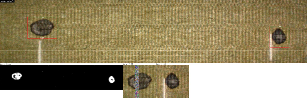 Automated anomalous region detection and classification